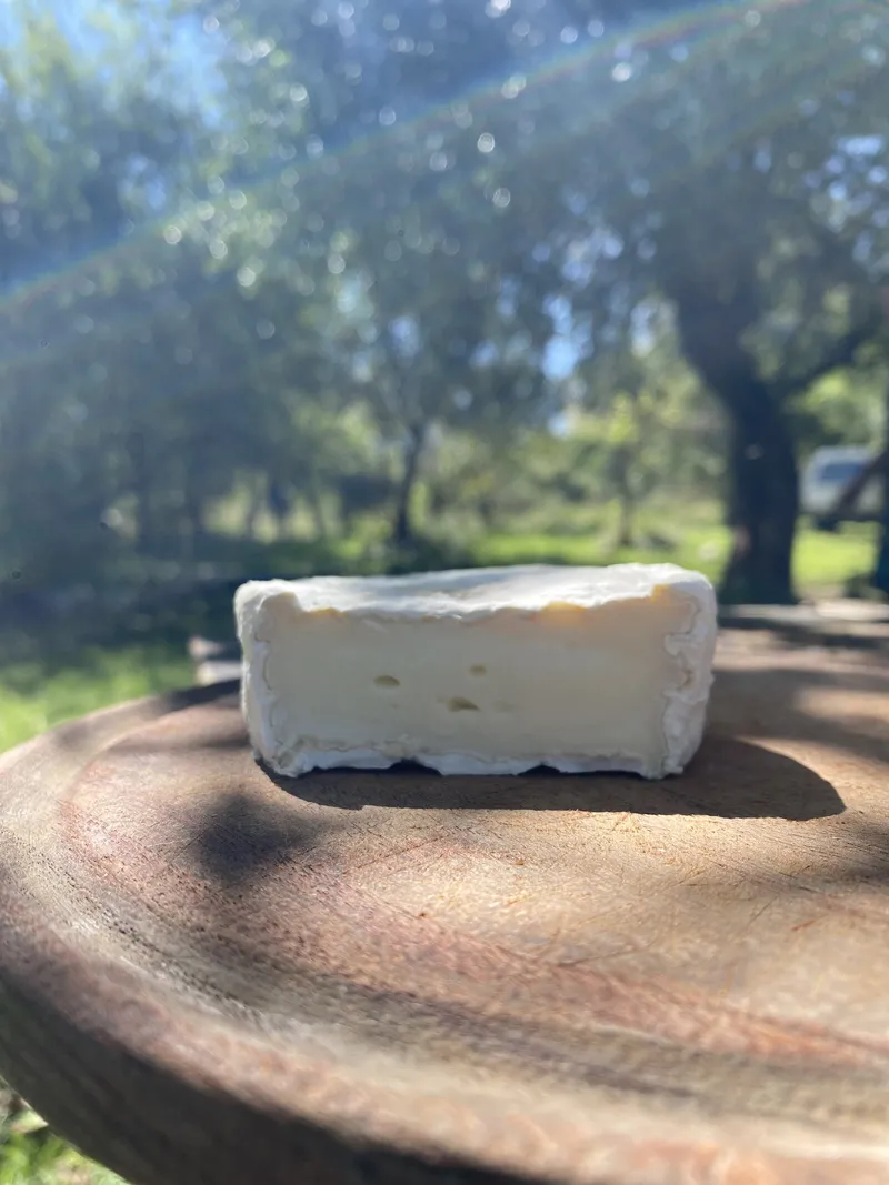 Tambo Cabrona