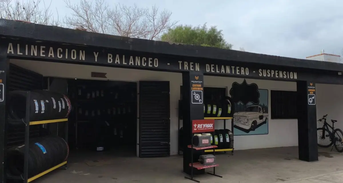 Galeria 1