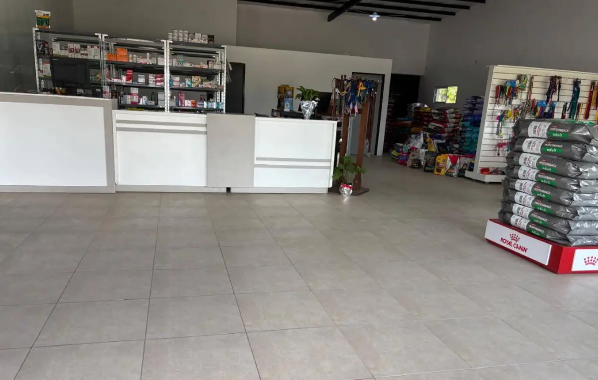 Galeria 1