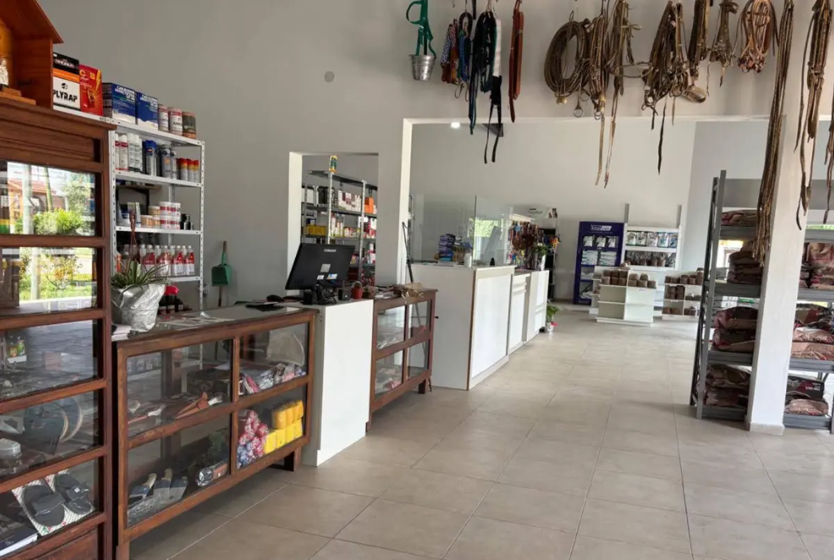 Galeria 2
